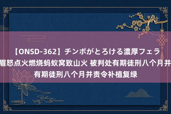 【ONSD-362】チンポがとろける濃厚フェラチオ4時間 须眉怒点火燃烧蚂蚁窝致山火 被判处有期徒刑八个月并责令补植复绿